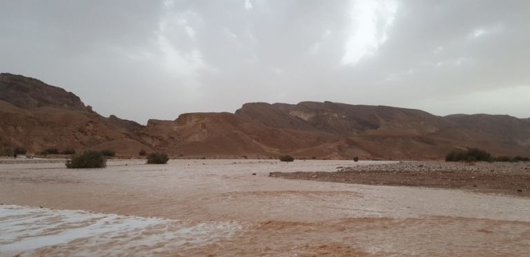 שיטפון במדבר - נחל פראן. צילום זאביק לייסטן