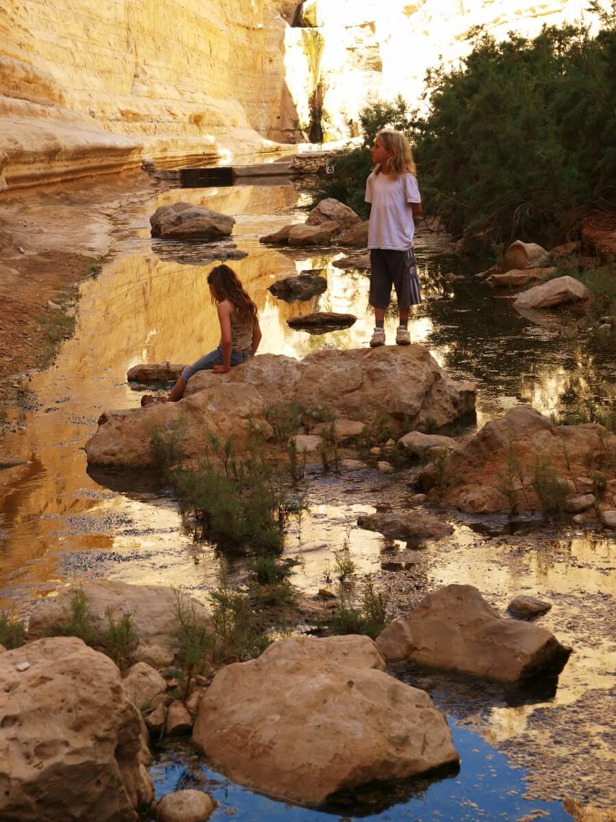 קרדיט טל גליק - ילדים בעין עבדת