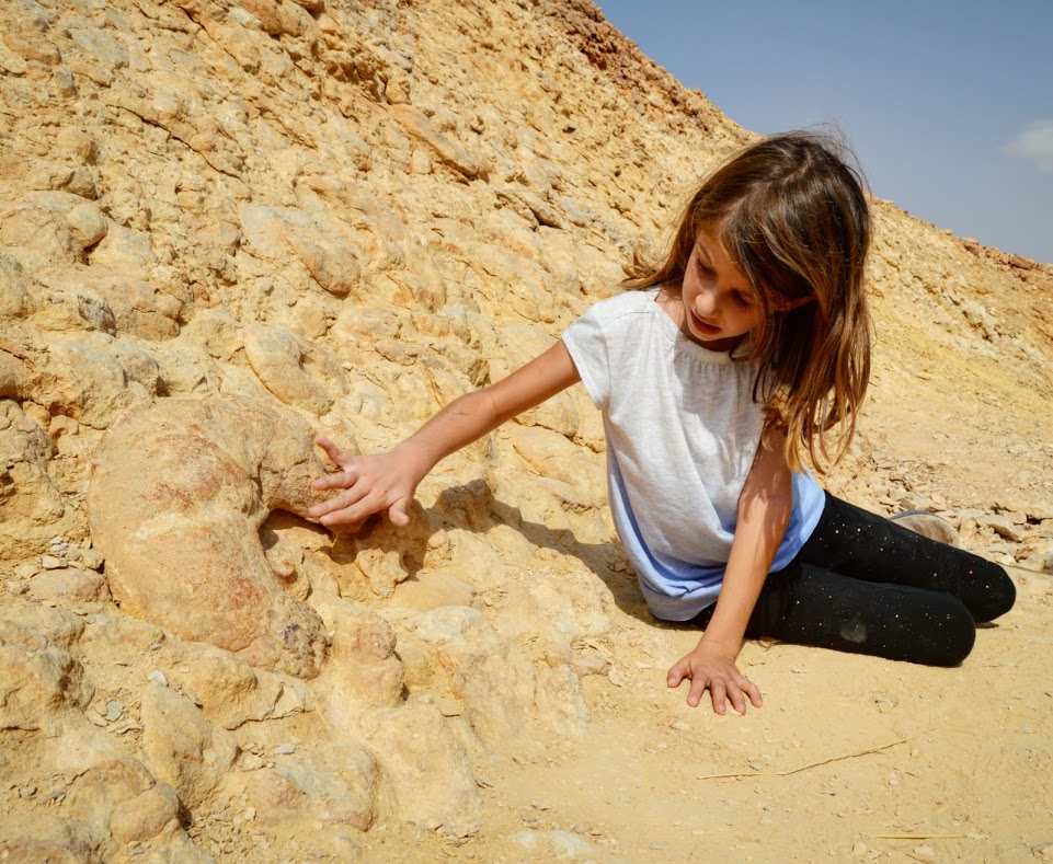 טיולי משפחות בהר הנגב. לנצור רגעים וזכרונות של ביחד! צילום: דנה אבי