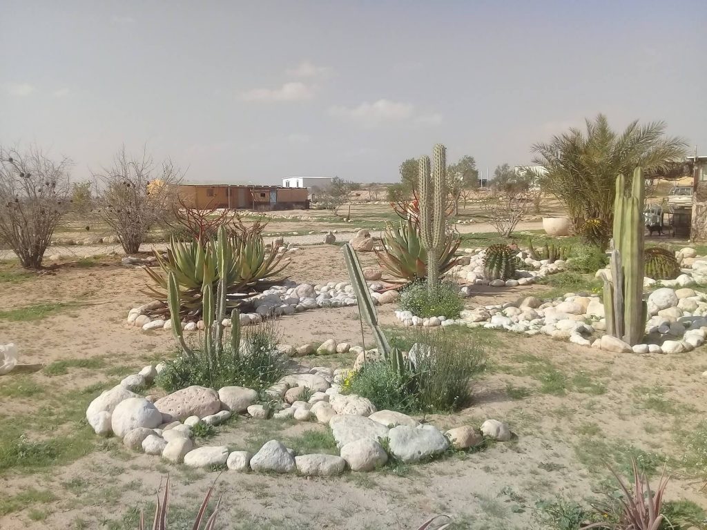 טעימות יין יקב רוטה_קרדיט ארז רוטה (1)