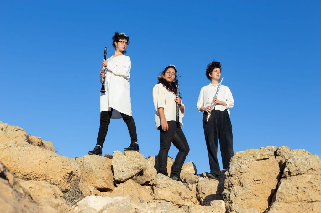 woodwind.jpg קרדיט דורין גל