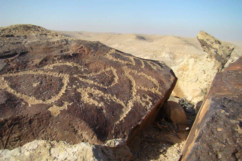 ציורי סלע בהר ערקוב. צילום: דנה אבידן